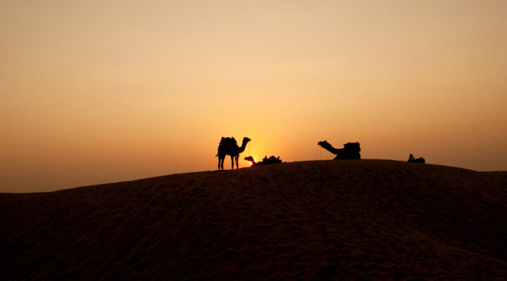 Must see attraction in Rajasthan