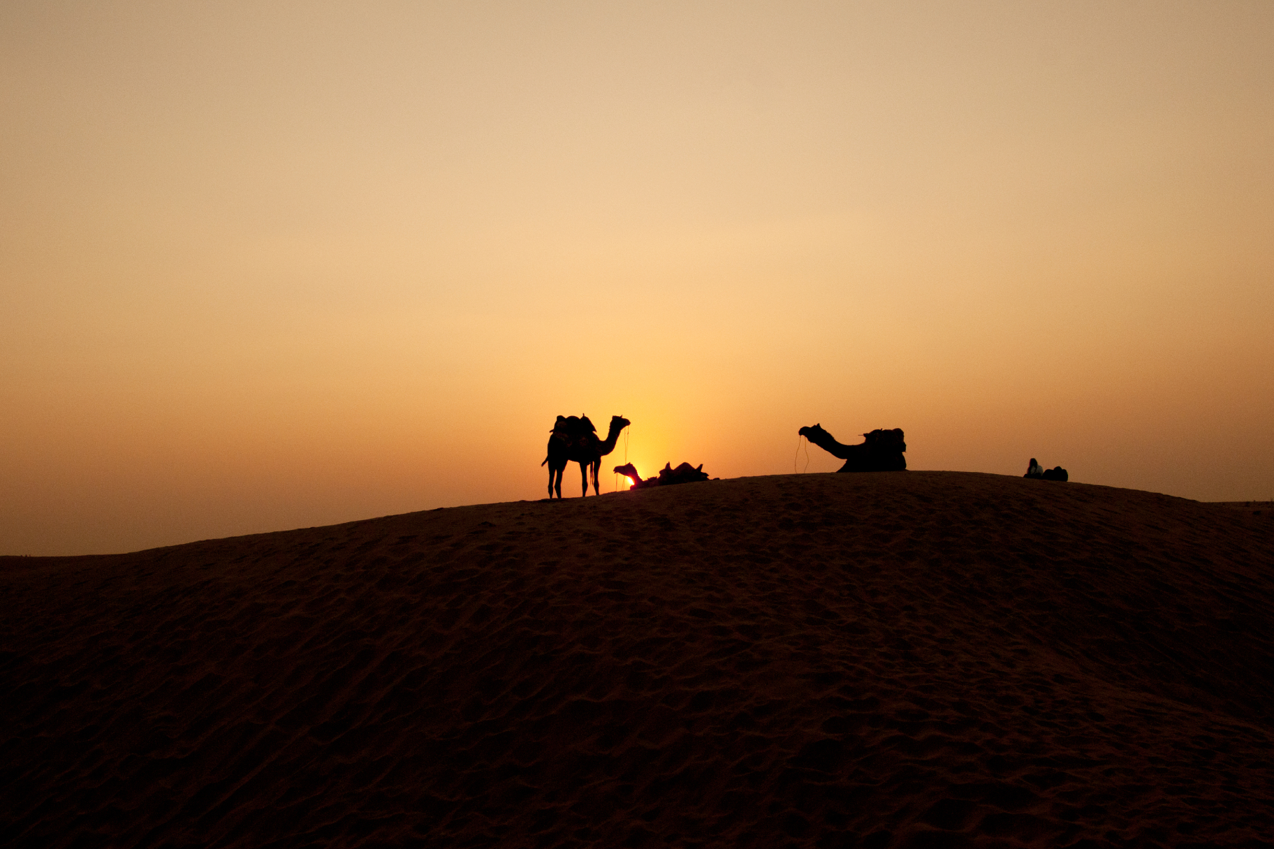 Must see attraction in Rajasthan